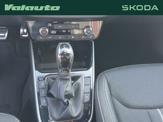 Fabia 130 1.5 TSI 177CH DSG7 2026 occasion 62217 Beaurains