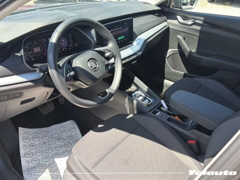 Octavia SELECTION 2.0 TDI 150 DSG7 2024 occasion 59860 Bruay-sur-l'Escaut