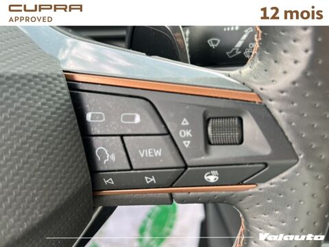 Formentor V 2.0 TDI 150 DSG7 4DRIVE 2022 occasion 62217 Beaurains