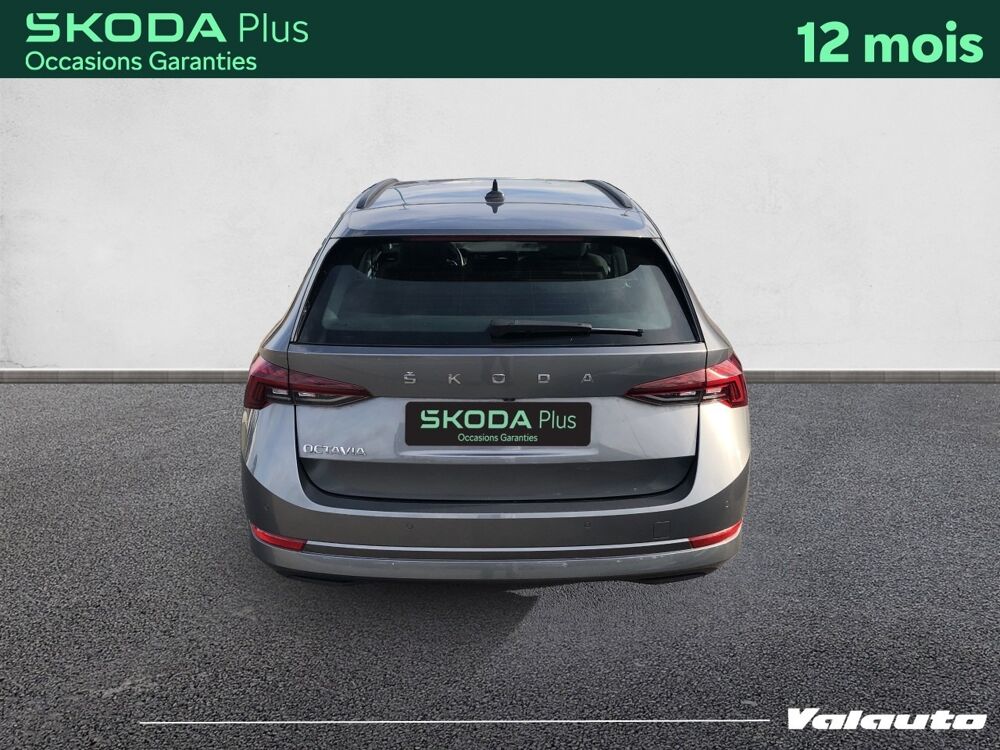Octavia 2.0 TDI 150 DSG7 BUSINESS 2023 occasion 62217 Beaurains