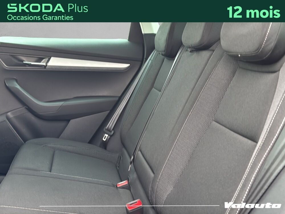 Karoq AMBITION 2.0 TDI 115 DSG 2024 occasion 59400 Cambrai