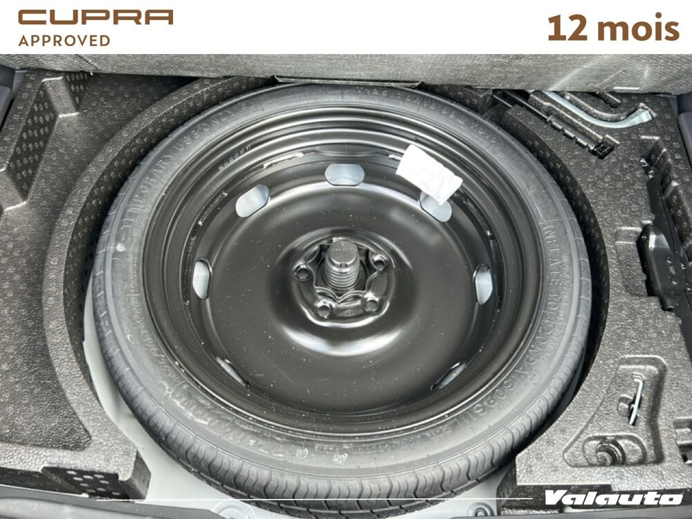 Formentor V 2.0 TDI 150 DSG7 4DRIVE 2022 occasion 62217 Beaurains