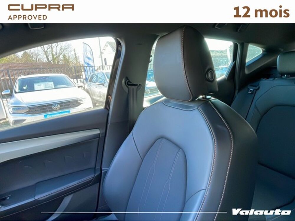 Formentor 1.5 TSI 150 CH BUISNESS EDITION 2024 occasion 59720 Louvroil