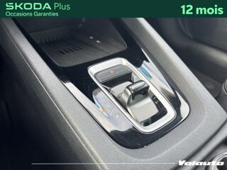 Octavia SELECTION 2.0 TDI 150 DSG7 2024 occasion 59223 Roncq