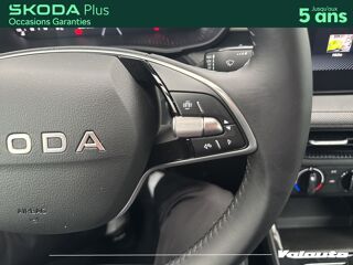 Fabia SELECTION 1.0 TSI EVO 2 116CH DSG7 2026 occasion 59223 Roncq