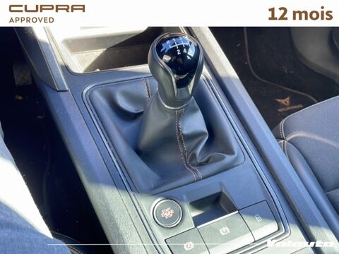 Formentor 1.5 TSI 150 CH BUISNESS EDITION 2024 occasion 59720 Louvroil