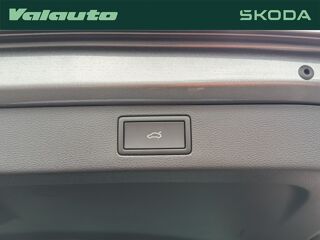 Kamiq CLEVER 1.0 TSI EVO 95CH BVM5 2026 occasion 59400 Cambrai