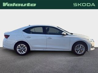 Octavia BERLINE CLEVER 1.5 TSI 150 DSG7 H... 2026 occasion 59223 Roncq