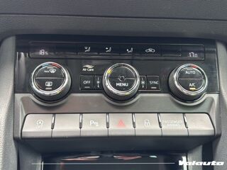 Karoq AMB/BUS 2.0 TDI 116 SCR BVM6 2022 occasion 59223 Roncq