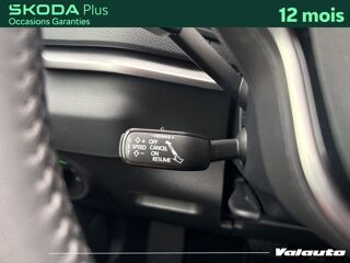 Karoq 1.5 TSI 150 SELECTION DSG7 2024 occasion 59400 Cambrai