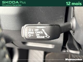 Karoq AMBITION 2.0 TDI 115 DSG 2024 occasion 59130 Lambersart