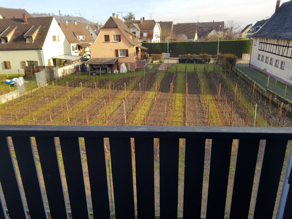 Vente Appartement Appartement 3 pices Kaysersberg vignoble