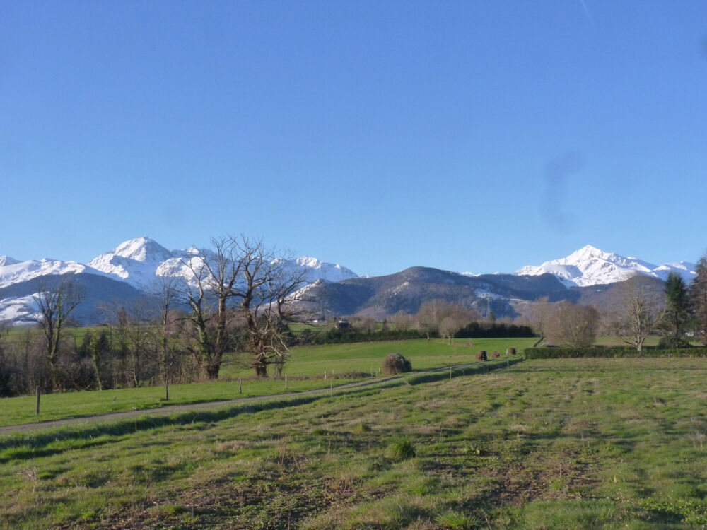 Vente Terrain Terrain Bagneres-de-bigorre