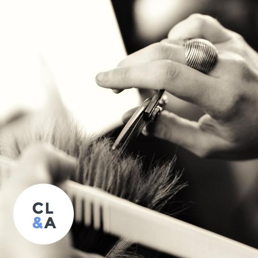   SALON DE COIFFURE MIXTE 