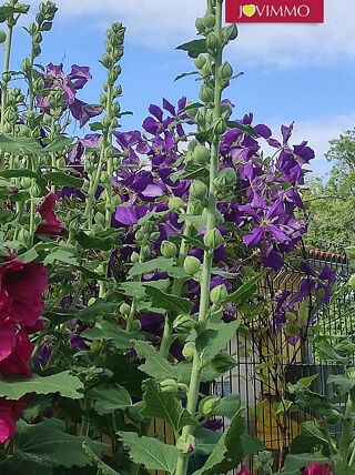  Maison  vendre 4 pices 66 m