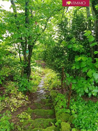  Maison  vendre 10 pices 320 m