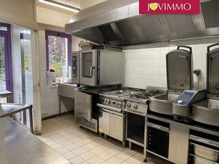  Maison  vendre 15 + pices 335 m