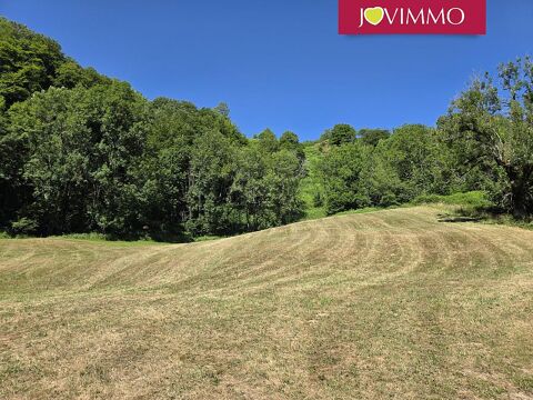   3,9 HECTARES, RUINE DE GRANGE + SOURCE PRIVATIVE Maison - 1 pice(s) - 50 m