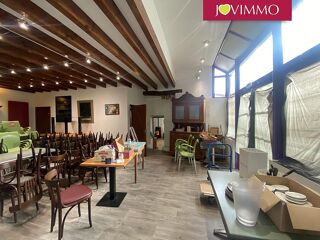  Maison � vendre 15 + pi�ces 335 m�