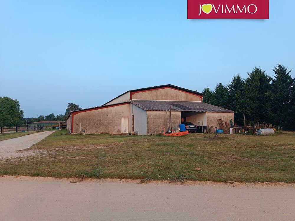 Vente Maison PROPRIETE EQUESTRE SUR PLUS DE 5 HA AVEC BOXES MARCHEUR ... Sancoins