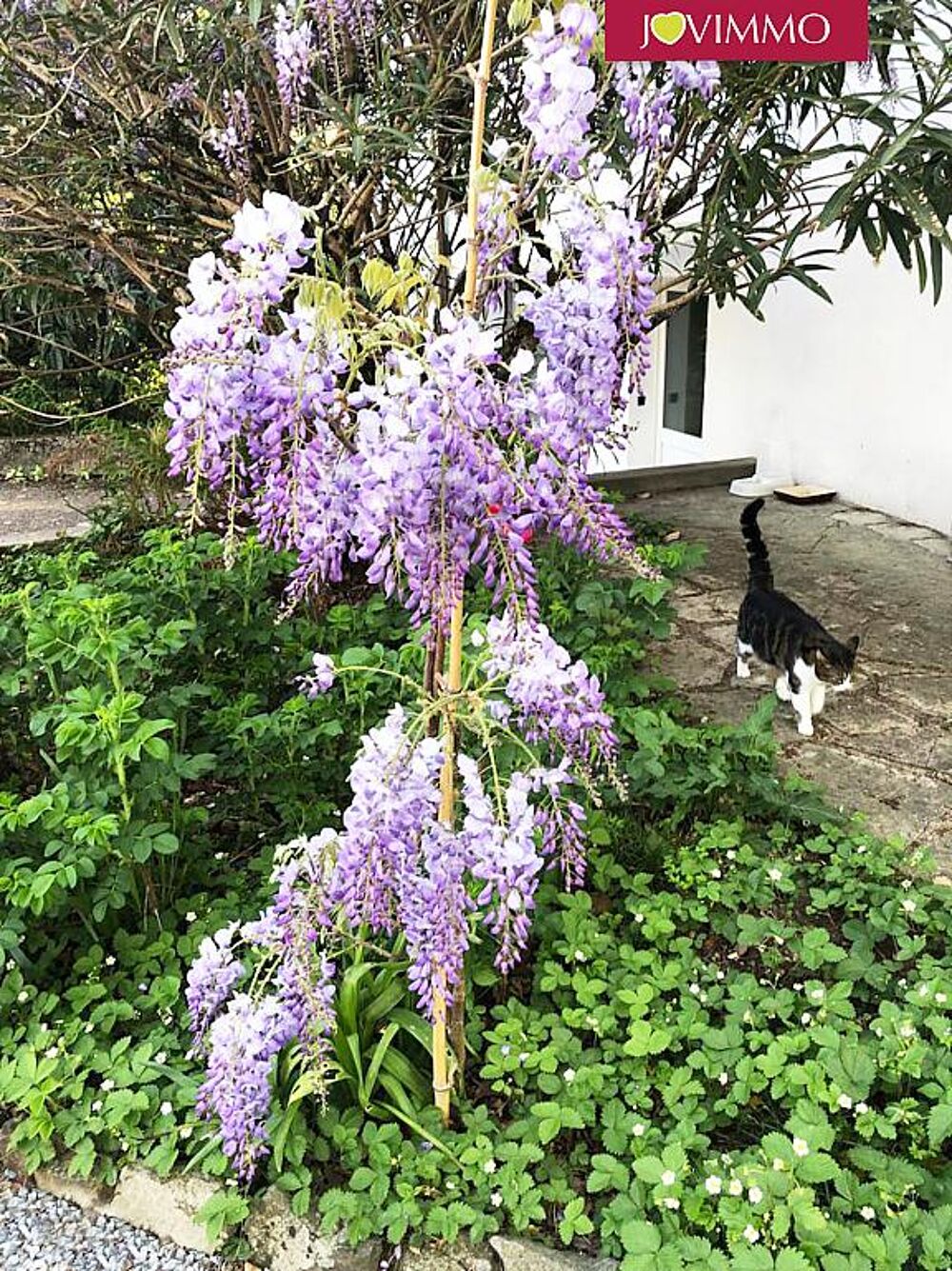  vendre  Maison Dax (40100)