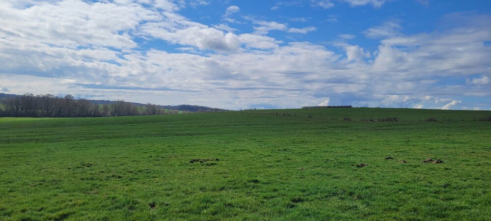 vente Terrain Champenoux (54280)