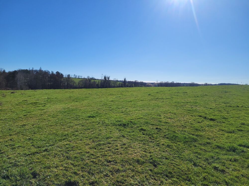 vente Terrain Champenoux (54280)