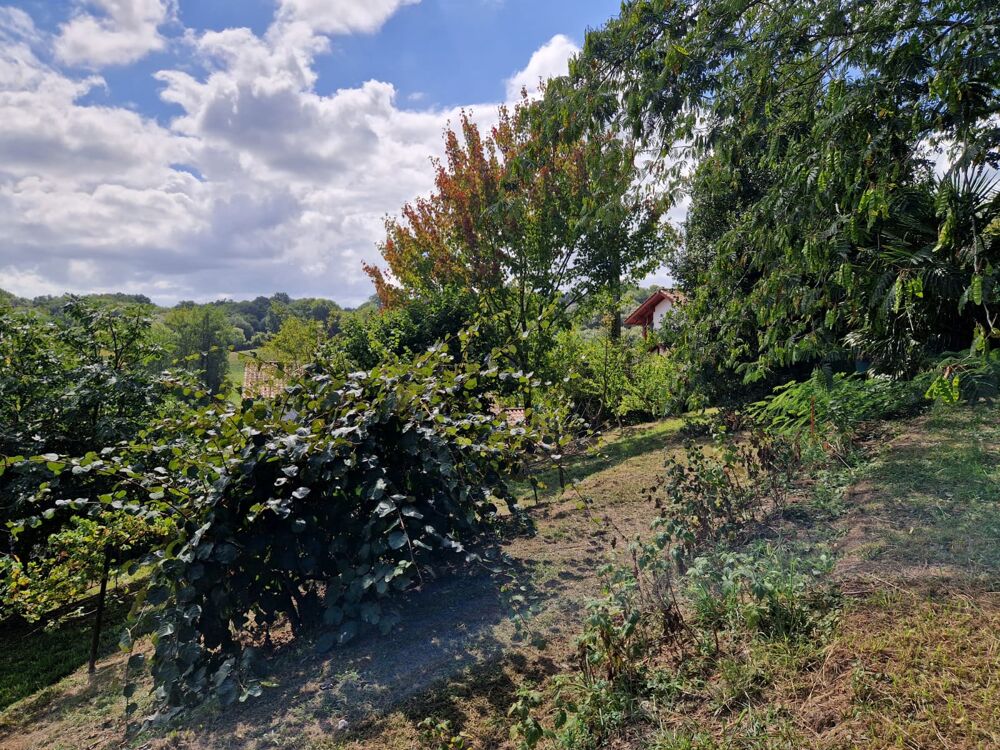 Vente Terrain AHETZE – TERRAIN À BÂTIR 1 030 M² EN ZONE UB Ahetze