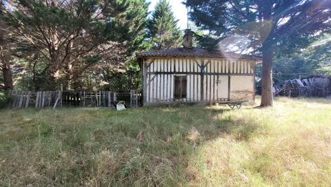   Maison Landaise / airial + foret 2,8ha Maison - 4 pice(s) - 75 m
