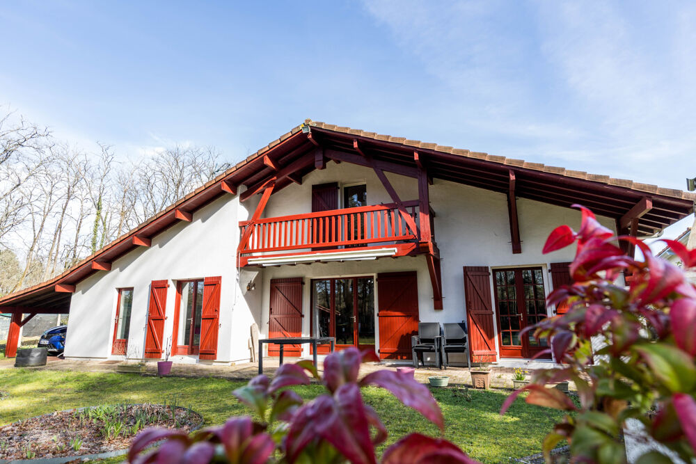 Vente Maison Maison 146 m² – 4 chambres – Bureau indépendant – Saint-Pierre-du-Mont Saint-pierre-du-mont