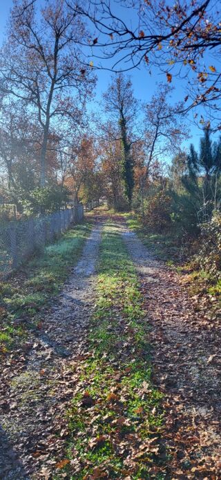  Terrain � vendre  Le barp