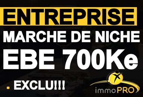 Entreprise industrielle &agrave; tr&egrave;s forte rentabilit&eacute; sur ... 2520000 69001 Lyon