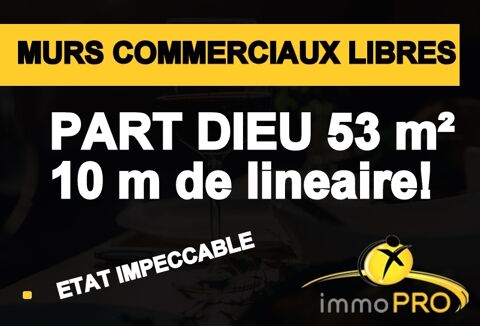 MURS COMMERCIAUX LIBRE!!! GRAND LINEAIRE POUR CES MUR... 229000 69003 Lyon