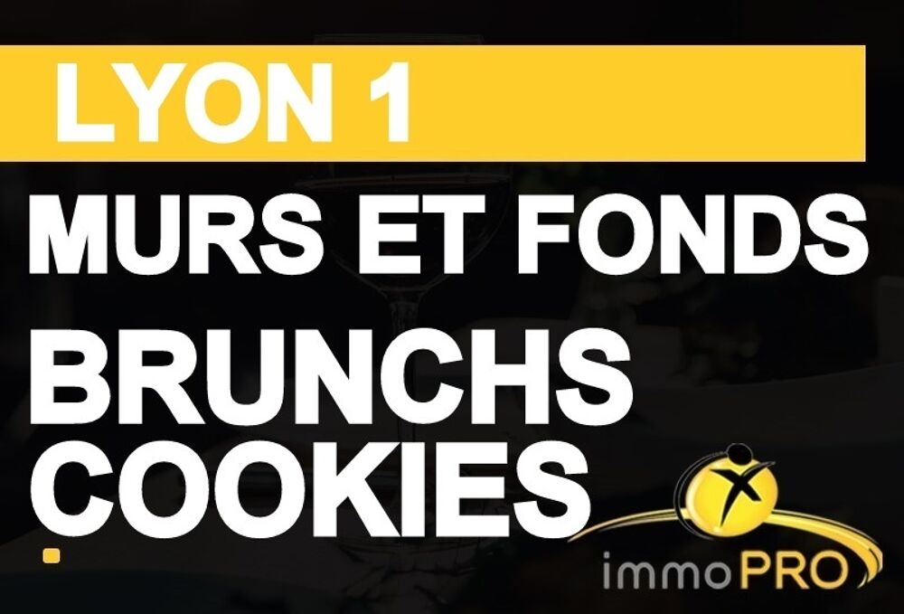  Entreprises Commerces / Vente Commerces - 153 m² Lyon 1