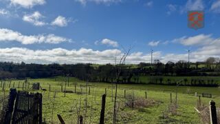  Maison � vendre 15 + pi�ces 1006 m�