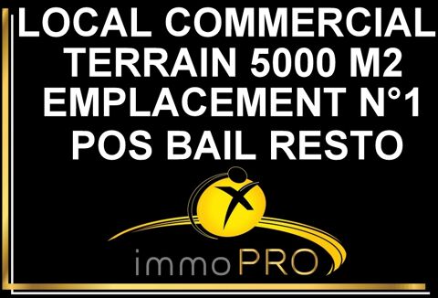 Fonds de commerce Garage automobile sur un terrain de... 429000 69800 Saint priest