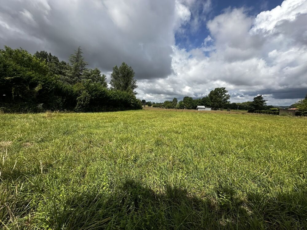 vente Terrain Albi (81000)