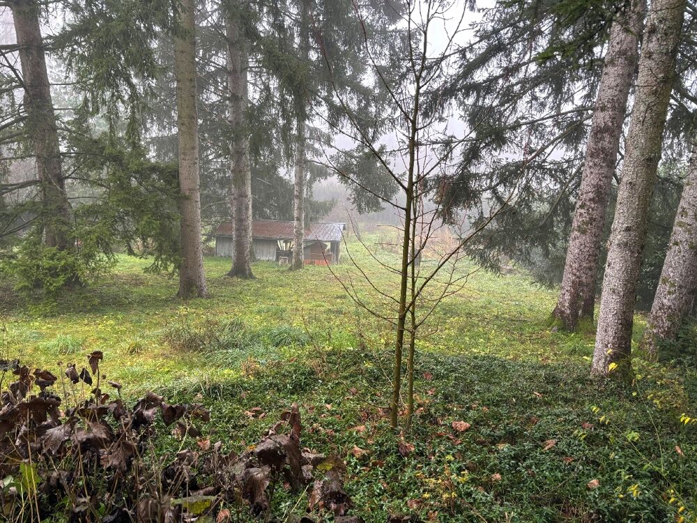  vendre  Maison Bonne (74380)