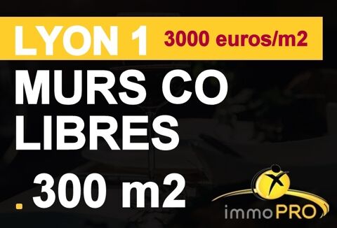 MURS COMMERCIAUX LIBRES d'une surface totale de 302 m... 960000 69001 Lyon