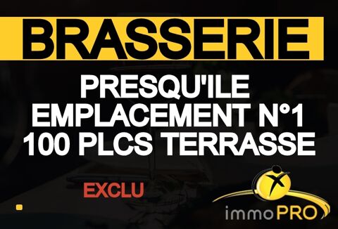 BRASSERIE COEUR PRESQU'ILE EN EXCLU, SUPERBE EMPLACEM... 389000 69002 Lyon