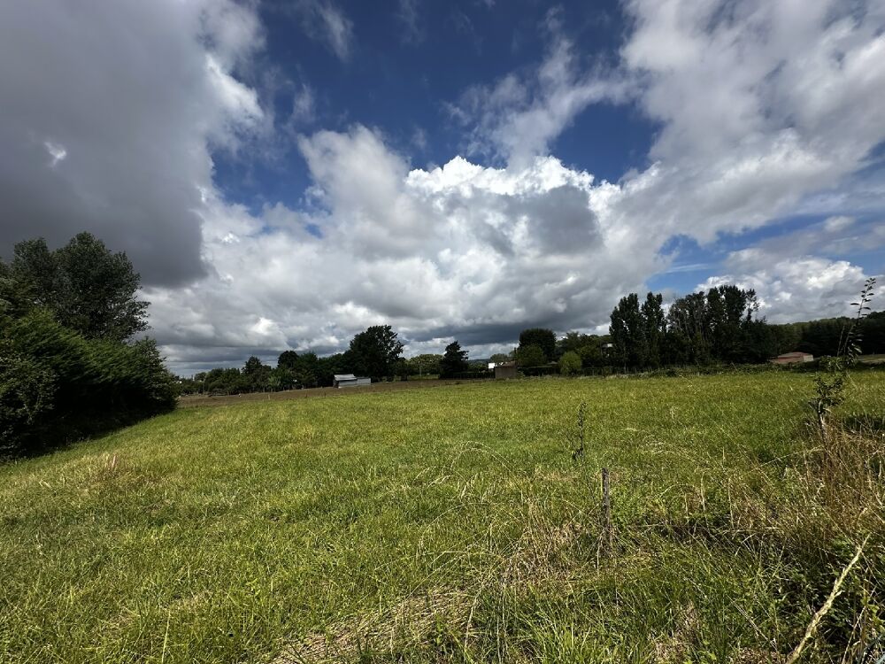 vente Terrain Albi (81000)