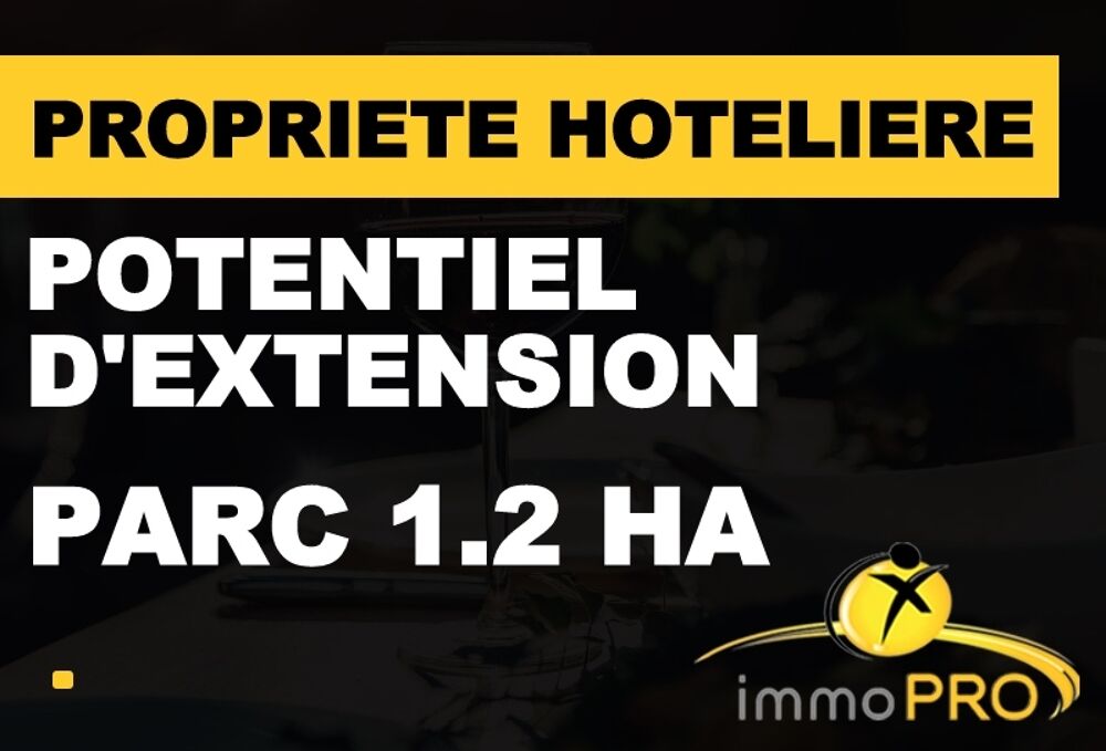   Vente - 15 + pièce(s) - 24000 m² 