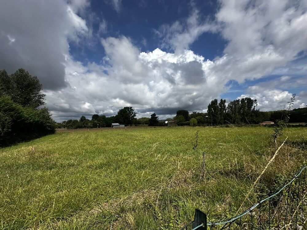 vente Terrain Albi (81000)