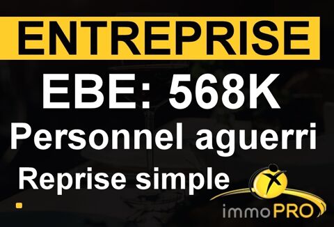 Vente d'une entreprise avec deux secteurs d'activit&eacute; ... 2150000 69003 Lyon