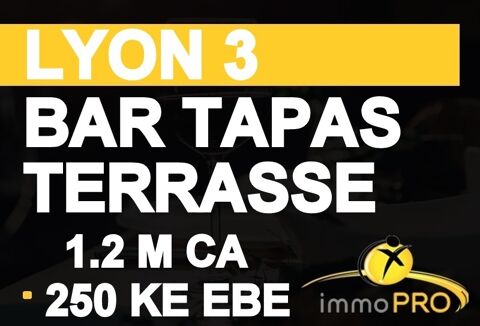BAR avec  IMMENSE TERRASSEPetite restauration, tapas,... 1166000 69003 Lyon