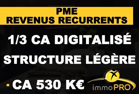PME ind&eacute;pendante g&eacute;n&eacute;rant des revenus r&eacute;currents, rep... 280000 69007 Lyon