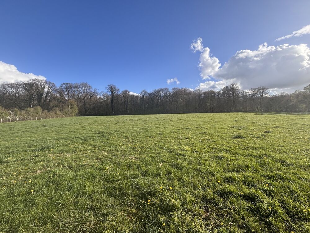 vente Terrain Argentan (61200)