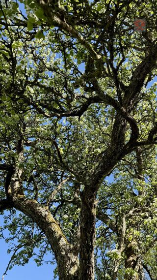  Maison � vendre 5 pi�ces 80 m�