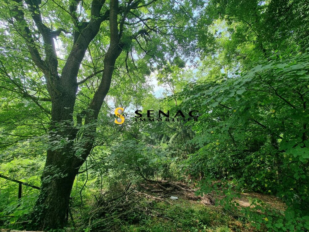 SENAC IMMOBILIER vous propose:Maison dans un environneme....