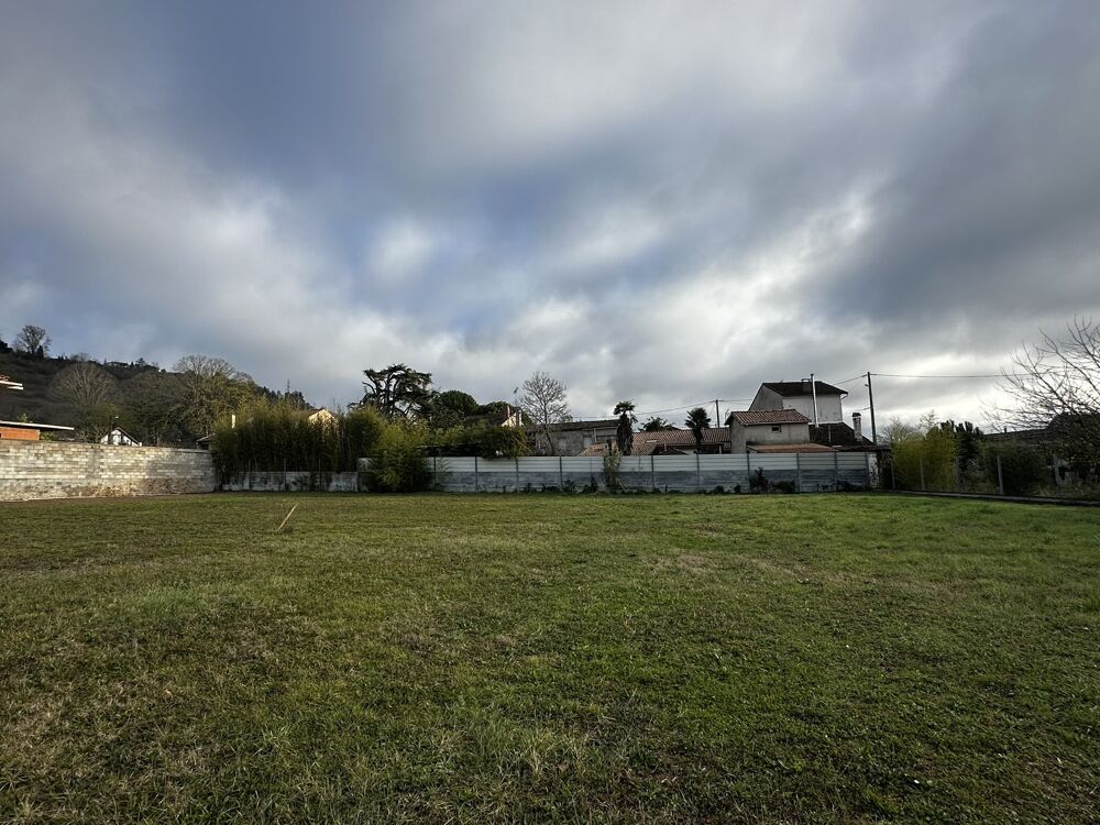 vente Terrain - 1354 m² Albi (81000)